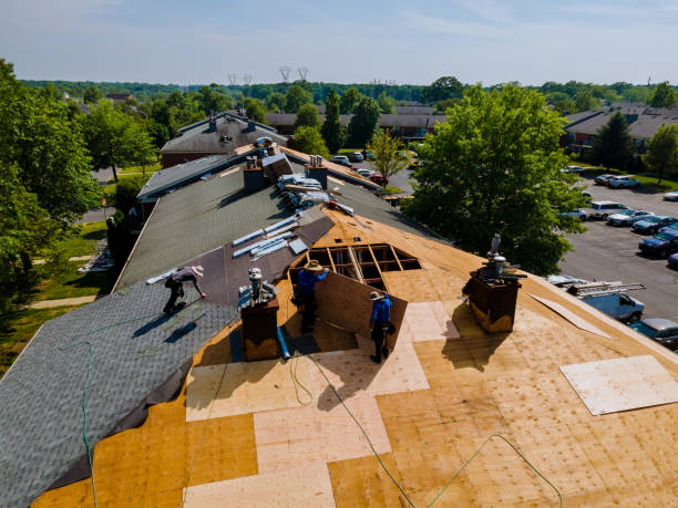 Trusted Roof Replacement service in Ordinary, VA - Brentwood Metal Roofing